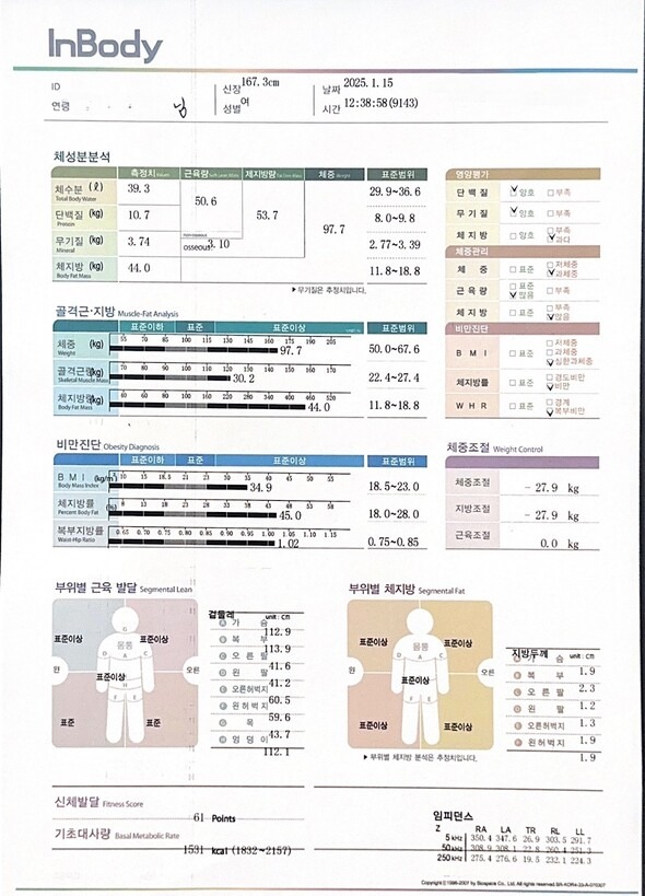 다이어트 BMI 기록지